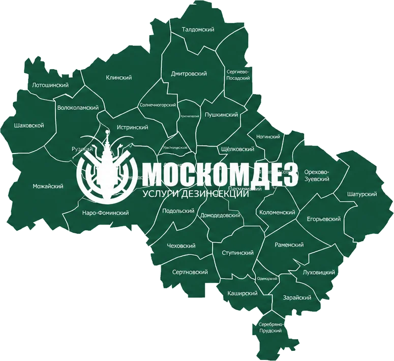 Карта выезда: Коломна и Московская область